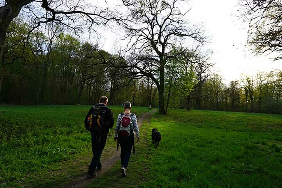 Bärlauchwanderung